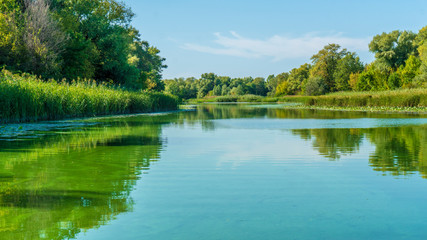 Fototapeta na wymiar a river landscape. green water