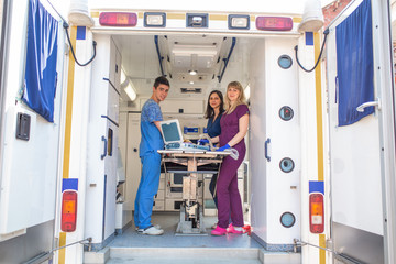 Professional pet doctors doing ultrasound scan for dog breed yorkshire terrier inside pet ambulance car © Kate