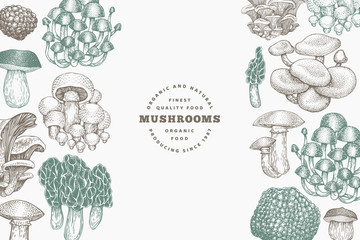 Mushrooms design template. Vector hand drawn illustrations. Mushroom in retro style. Autumn food background. - obrazy, fototapety, plakaty