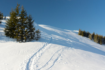 Fototapeta na wymiar Winter landscape. Rodnei Mountaisn,. Transylvania, Romania