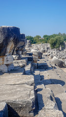 Apollon temple - Ruins of the Temple of Apollo in Didim, Turkey-