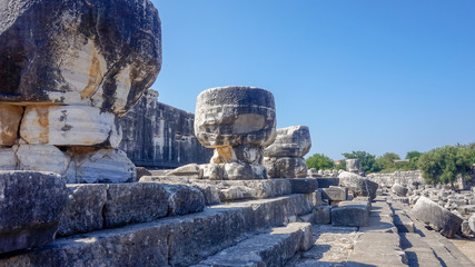 Apollon temple - Ruins of the Temple of Apollo in Didim, Turkey-