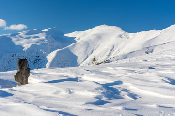 Winter landscape. Rodnei Mountaisn,. Transylvania, Romania