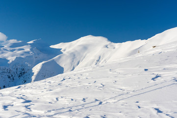 Winter landscape. Rodnei Mountaisn,. Transylvania, Romania