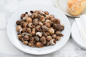boiled snails on white plate on ceramic background