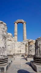 Fototapeta na wymiar Apollon temple - Ruins of the Temple of Apollo in Didim, Turkey-