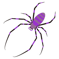 蜘蛛 ジョロウグモ イラスト クリップアート