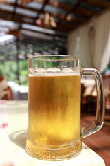Pint of light beer
