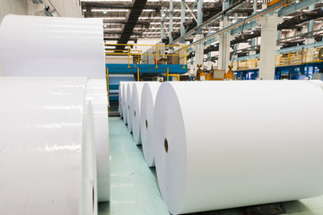 Big White Paper Rolls in a printing plant, recycling of waste paper.