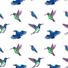 Obraz premium Sketch hand drawn pattern with hummingbird. Animals illustration colibri birds.