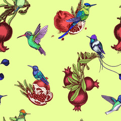 Vector illustration sketch pattern - card with pomegranate and hummingbird.