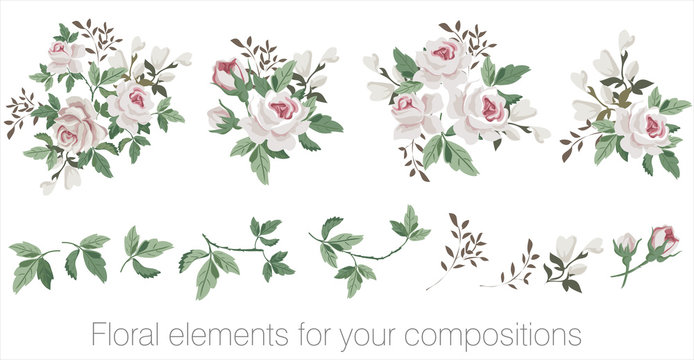 Vector floral set with leaves and flowers. Elements for your compositions, greeting cards or wedding invitations. White roses