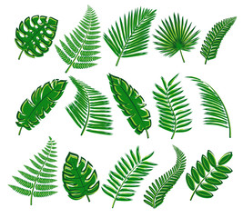 Set of tropical leaves. Collection icon tropical leaves. Vector