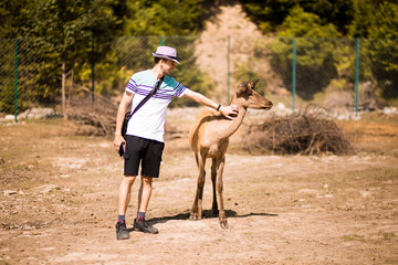 Tourist man touching young deer by hand in Carpathian zoo