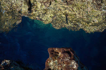    Ocean coral reef with blue water
