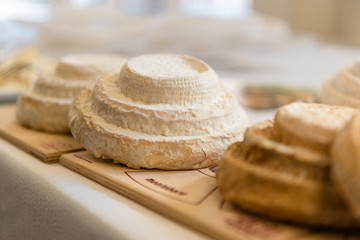 Typical Italian Montebore cheese wheels on wooden cutting board