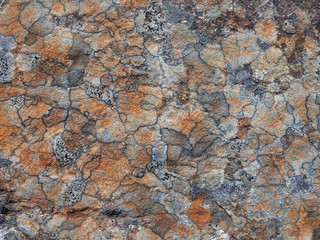 Obraz premium Flat stone surface with a different color pattern. Rock stone background