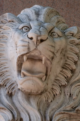 An expressive sculpture of a lion's head made of white stone. Close-up. © Виктор Кеталь