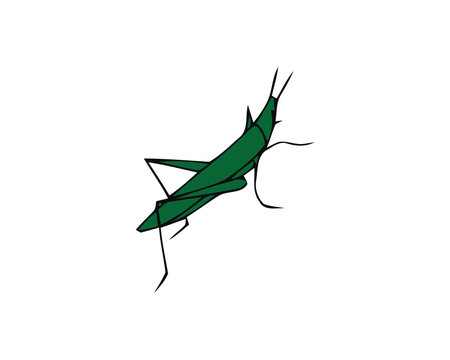 Green grasshopper isolated on a white background. Locusts. Pests of agriculture. Vector illustration.