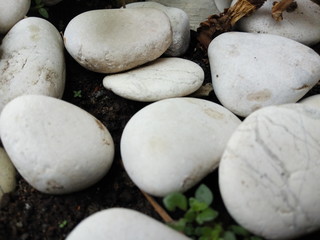Fototapeta na wymiar stones with leaves on a background