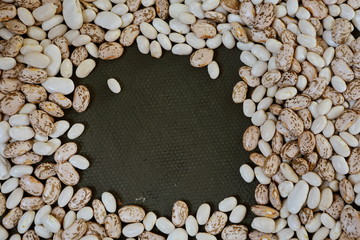 fresh beans on background in studio