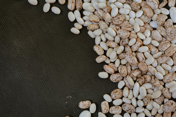 fresh beans on background in studio