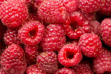 Top view of raw pink fresh raspberries