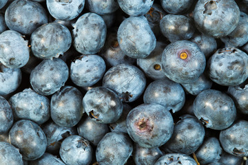 Top view of fresh raw blueberries