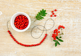 Making protective rowan berry charm necklace, it is believed that rowan tree berries have magical...