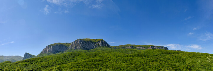 View of the mountain covered with a green carpet of trees and grass, on a bright sunny day, with clouds in the sky. Spring view of the Crimean mountains.