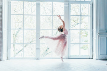 Young classical ballet dancer girl in dance class. Beautiful graceful ballerina practice ballet...