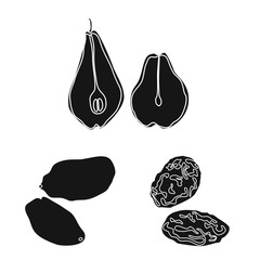 Vector illustration of vitamin and nature symbol. Collection of vitamin and dried vector icon for stock.