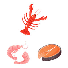 Vector illustration of food and sea symbol. Collection of food and healthy stock symbol for web.