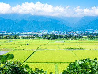 夏から秋へ　安曇野の田園風景