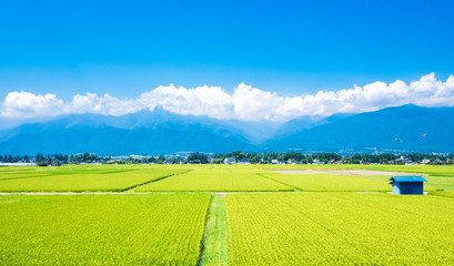 Obraz premium 夏から秋へ 安曇野の田園風景