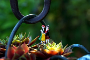 Miniature people in flower pot. Bavarian man and woman in traditional dresses are standing on green, red leaves of Common houseleek. dressed in traditional Black Forest / german Schwarzwald costumes. 