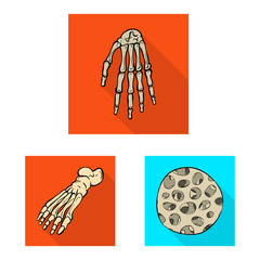 Vector design of bone and skeleton logo. Set of bone and human stock vector illustration.