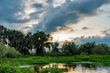 Fototapeta na wymiar Landscape of the Florida wilderness, pond and storm clouds at dawn