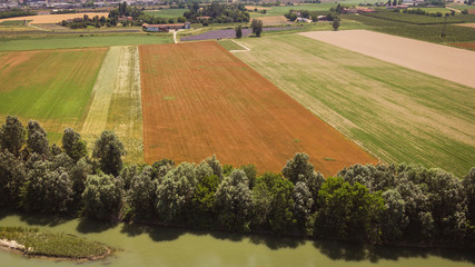 Drone aerial view of organic farming fields of lavender, wheat and potatoes