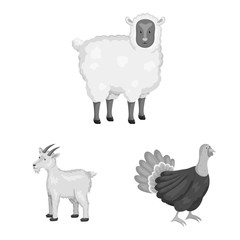 Vector design of homestead and agriculture icon. Collection of homestead and kitchen stock symbol for web.