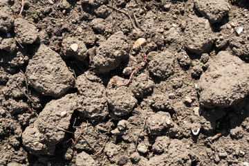Texture terre d'agriculture