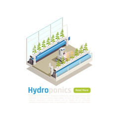 Modern Greenhouse Technology Isometric Composition 