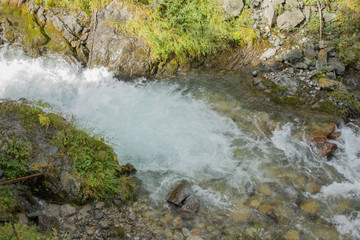 stream in forest