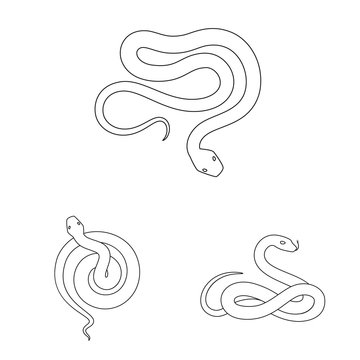Vector illustration of poison and evil logo. Set of poison and bite stock vector illustration.