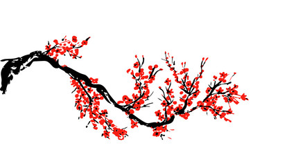 Cherry blossom Sakura bloom template - obrazy, fototapety, plakaty