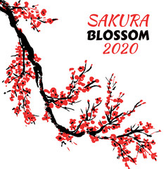 Cherry blossom Sakura bloom template