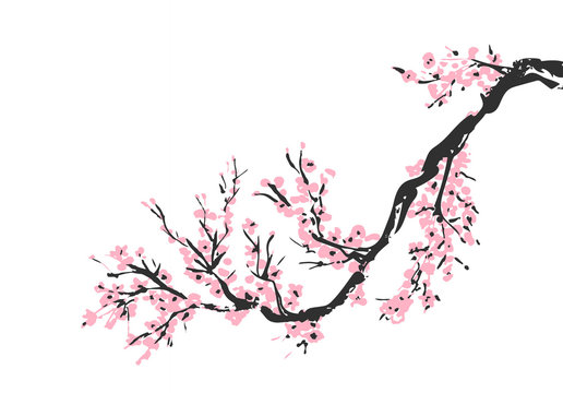 Cherry blossom Sakura bloom template