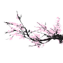 Cherry blossom Sakura bloom template