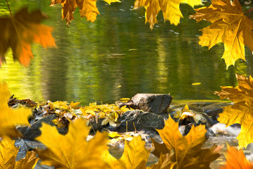 Detail of stones in the creek in the autumn season. Autumn frame.