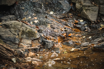 Bach, Wasser, Wald, Textur, Hintergrundbild, Muster, Fliesen